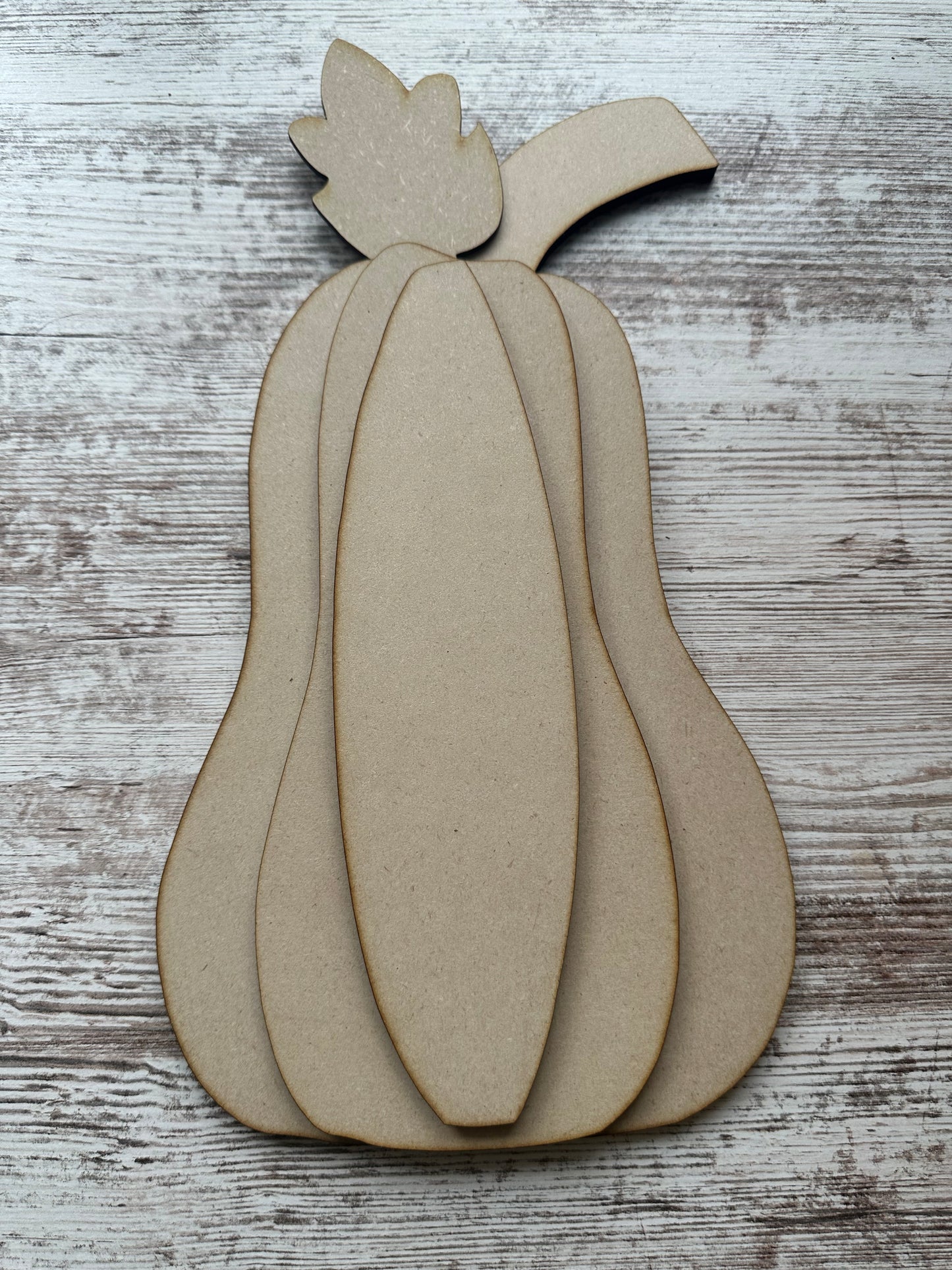 Gourd/Pumpkin kit
